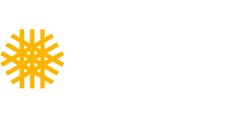 Venedi Logo
